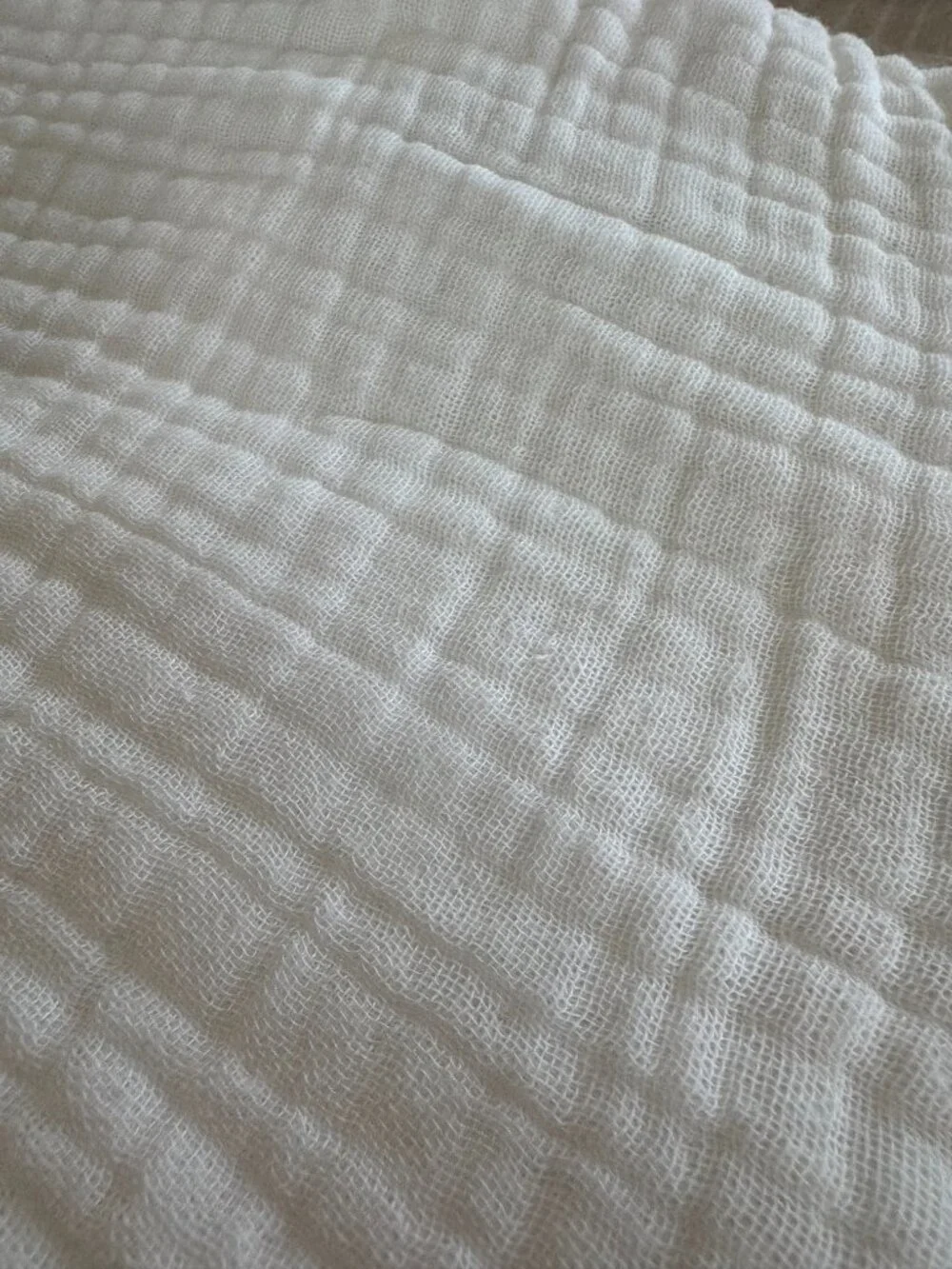 West Elm Dreamy Gauze Cotton Shams King White